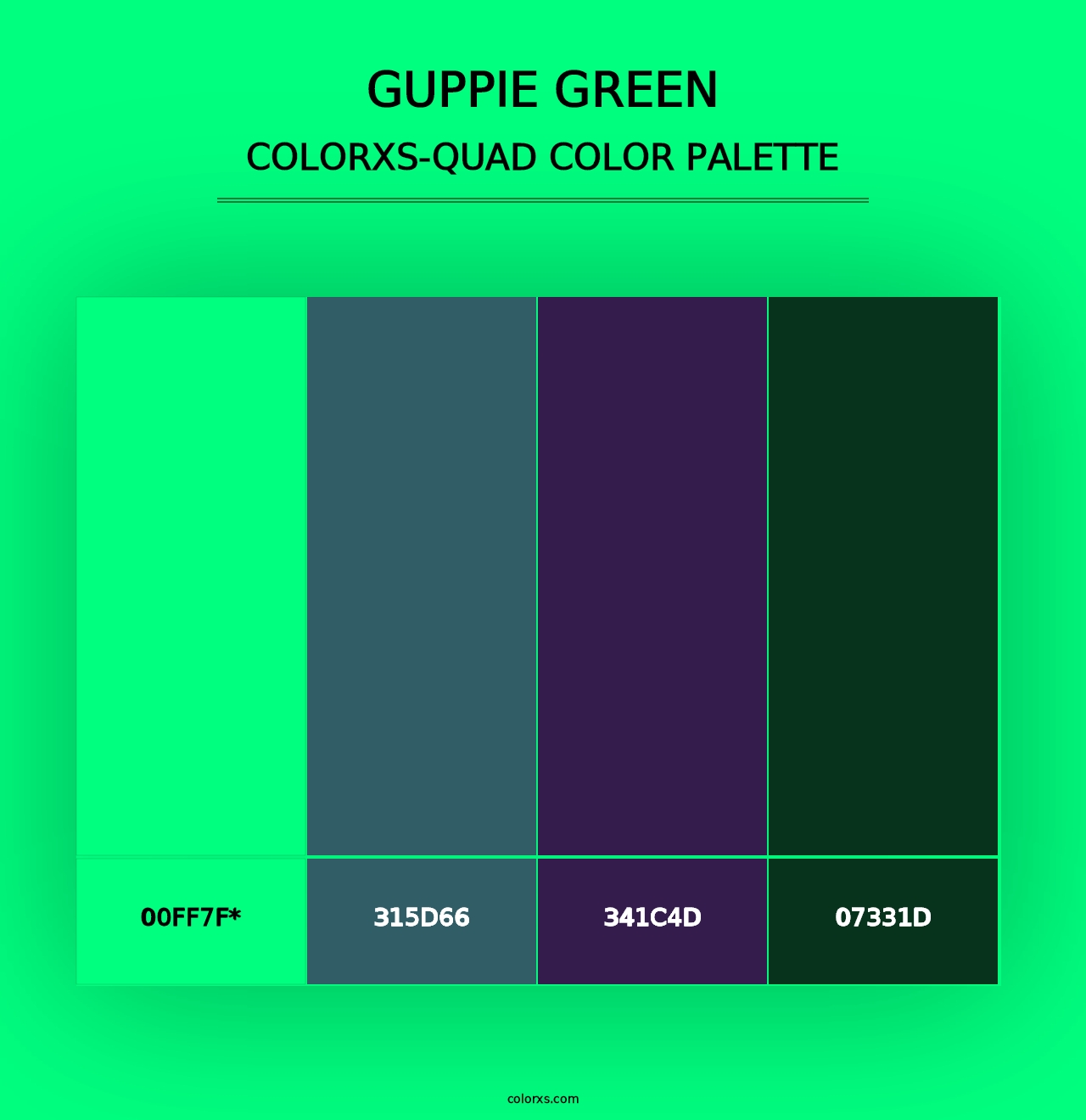 Guppie green - Colorxs Quad Palette