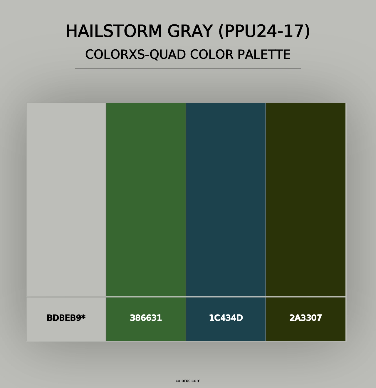 Hailstorm Gray (PPU24-17) - Colorxs Quad Palette