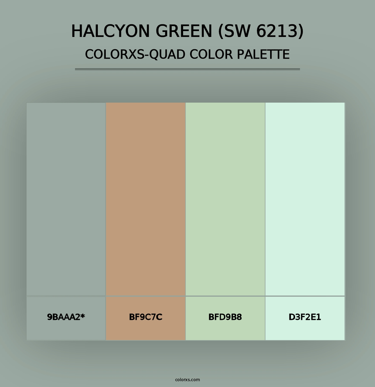 Halcyon Green (SW 6213) - Colorxs Quad Palette