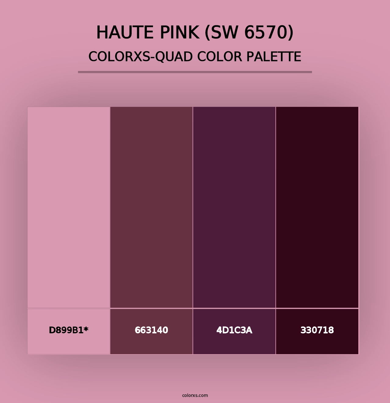 Haute Pink (SW 6570) - Colorxs Quad Palette