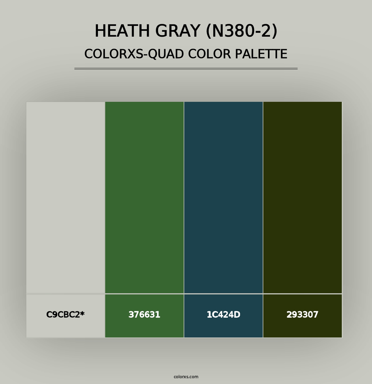 Heath Gray (N380-2) - Colorxs Quad Palette