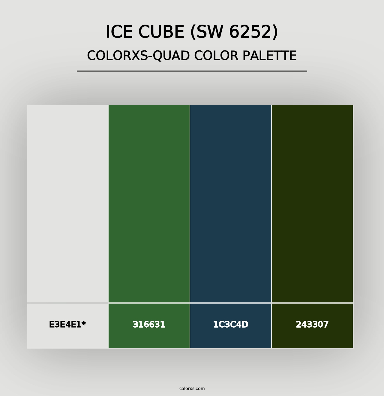 Ice Cube (SW 6252) - Colorxs Quad Palette