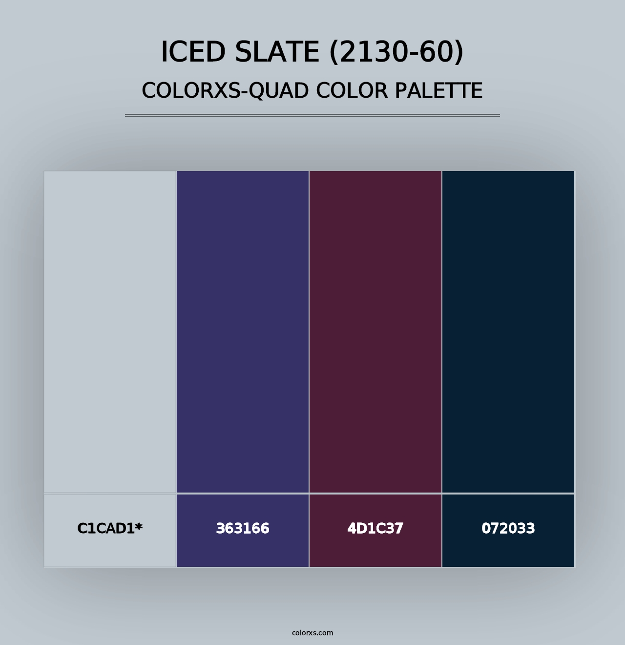 Iced Slate (2130-60) - Colorxs Quad Palette