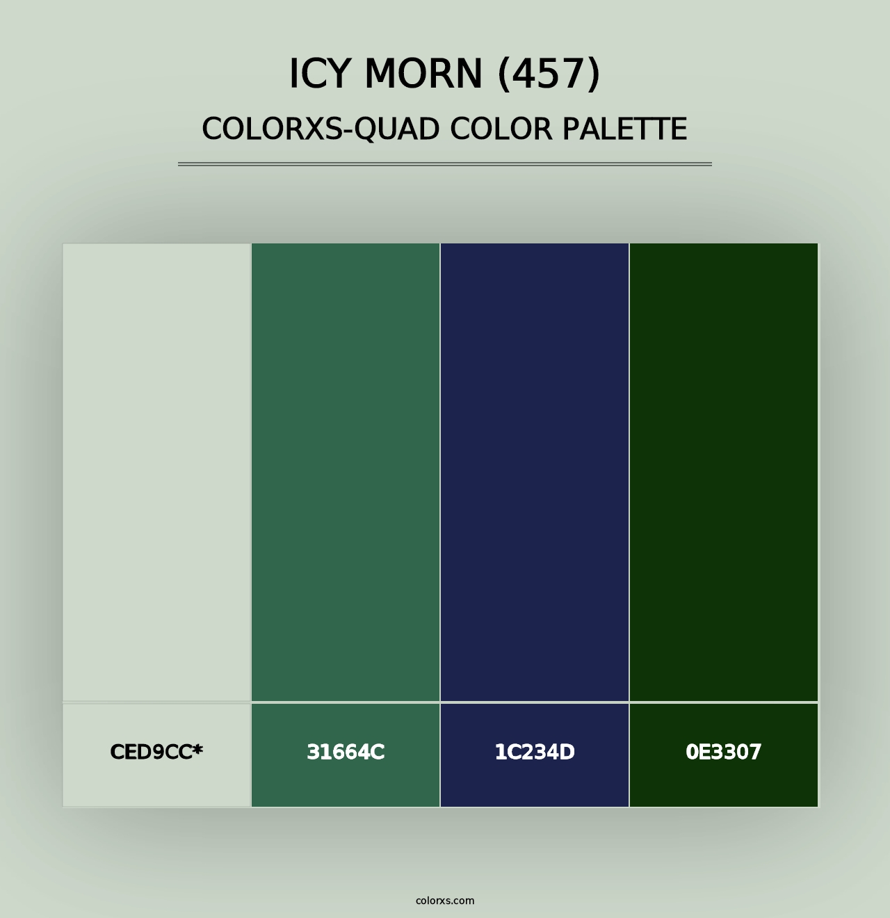 Icy Morn (457) - Colorxs Quad Palette