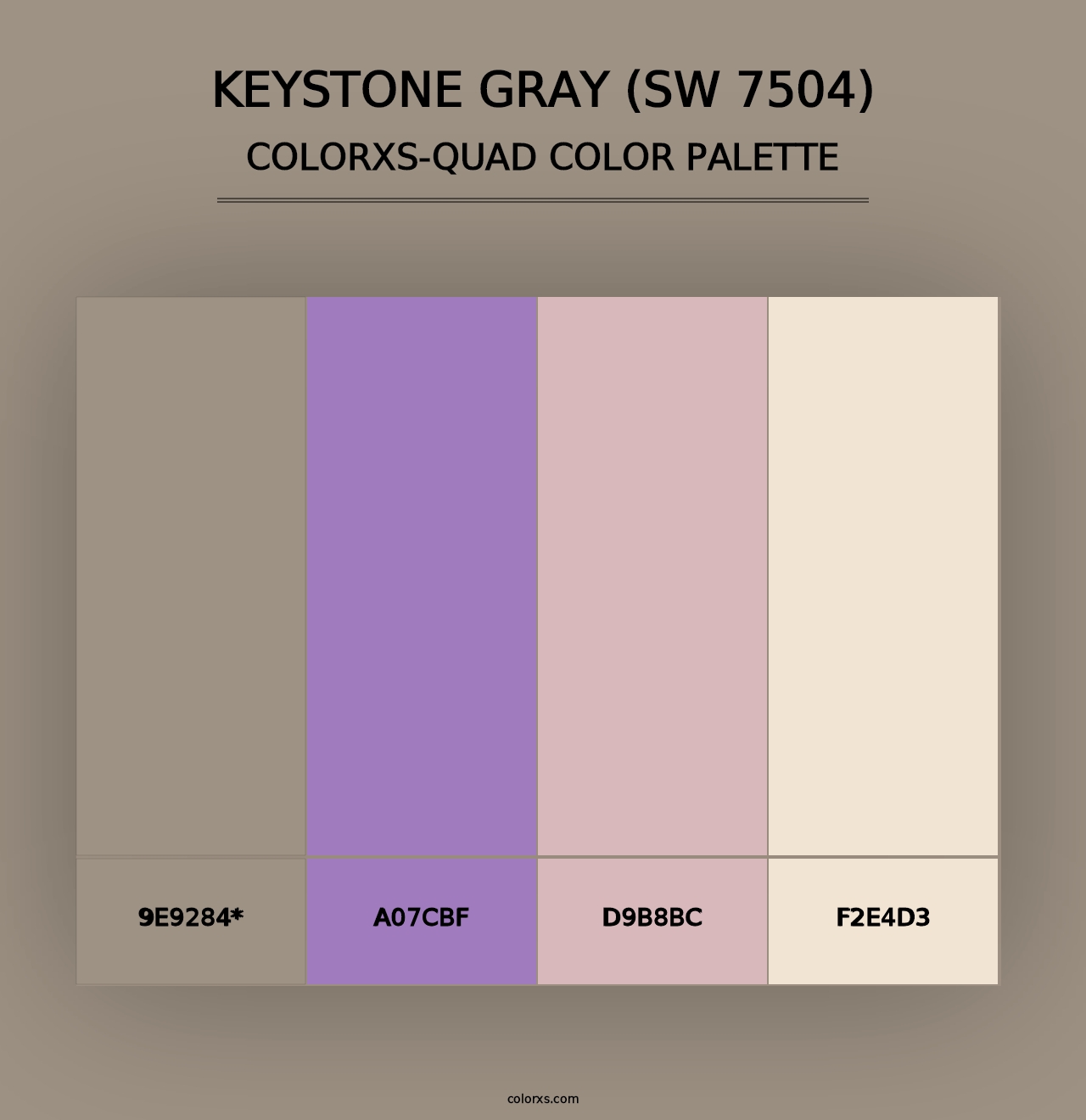 Keystone Gray (SW 7504) - Colorxs Quad Palette