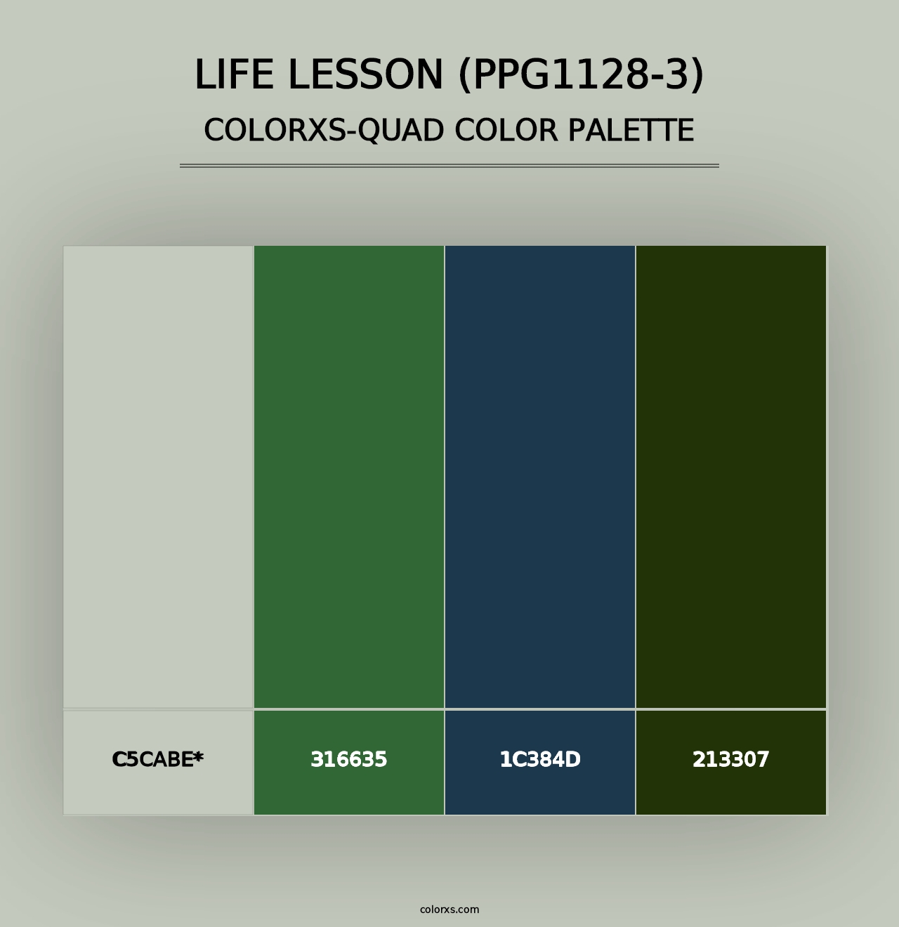 Life Lesson (PPG1128-3) - Colorxs Quad Palette