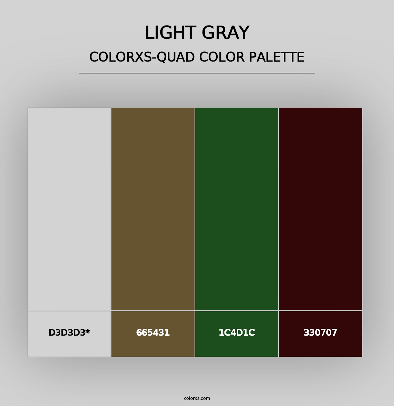 Light Gray - Colorxs Quad Palette