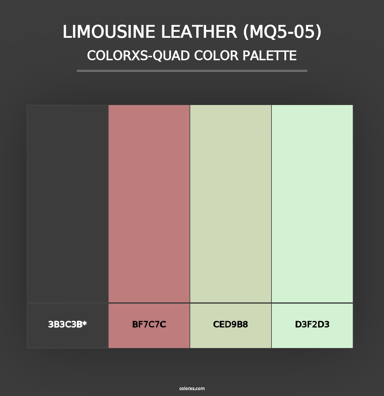 Limousine Leather (MQ5-05) - Colorxs Quad Palette