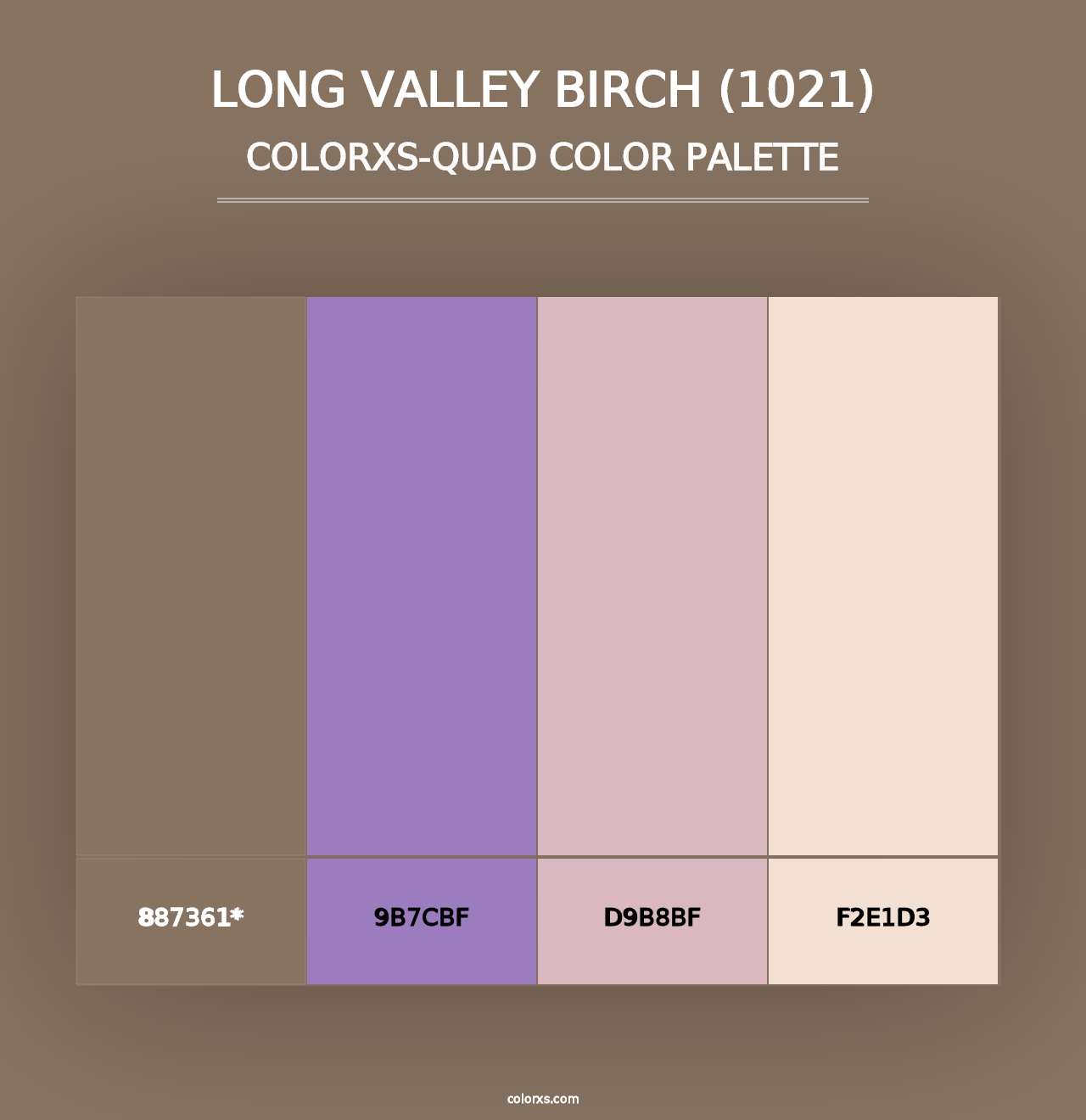 Long Valley Birch (1021) - Colorxs Quad Palette