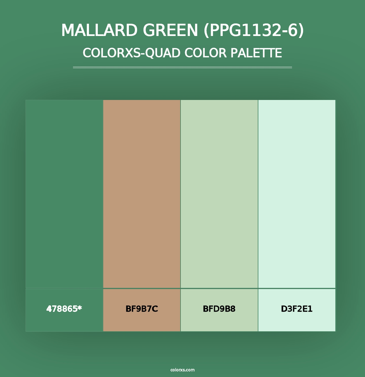 Mallard Green (PPG1132-6) - Colorxs Quad Palette