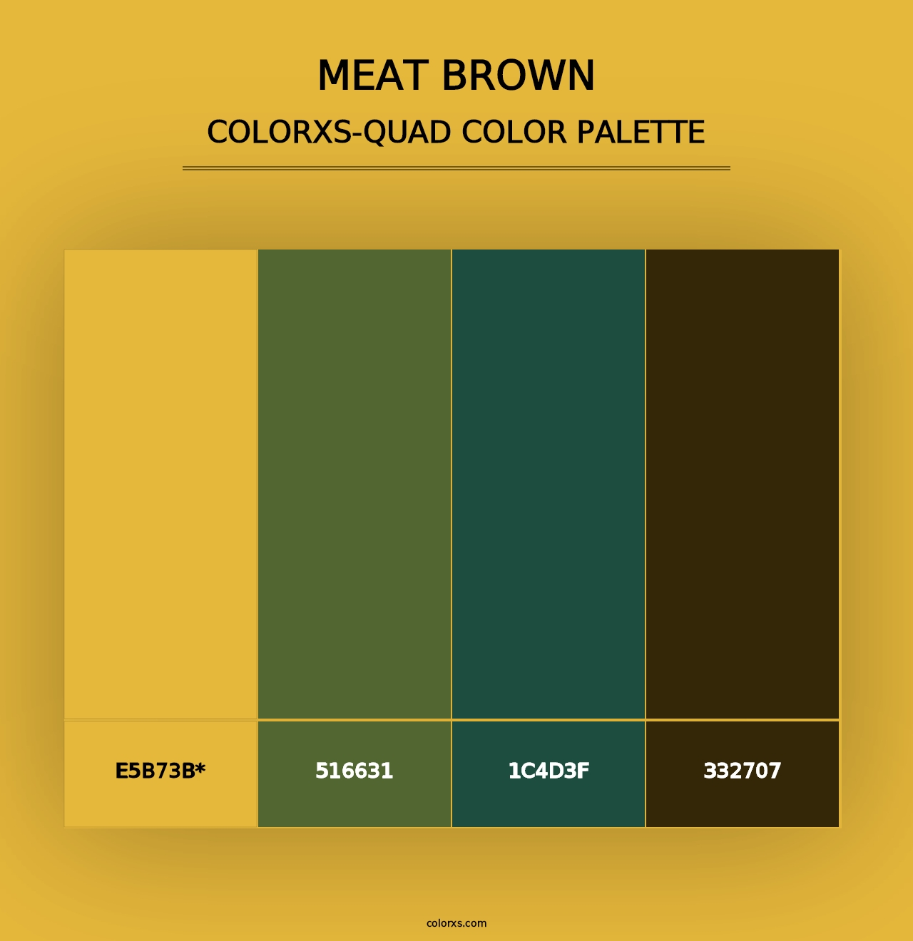 Meat brown - Colorxs Quad Palette