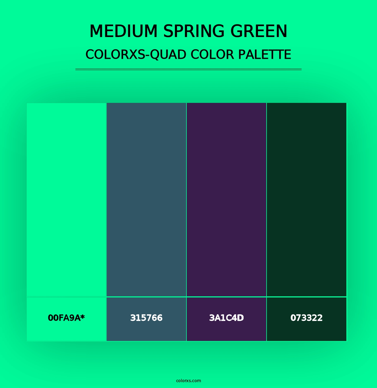 Medium Spring Green - Colorxs Quad Palette