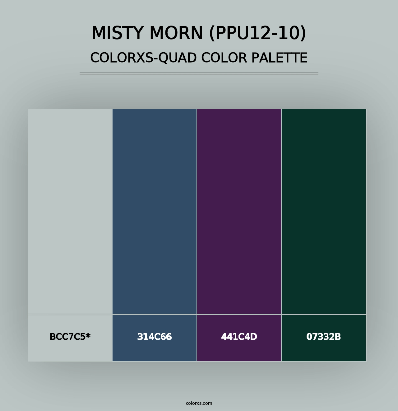 Misty Morn (PPU12-10) - Colorxs Quad Palette