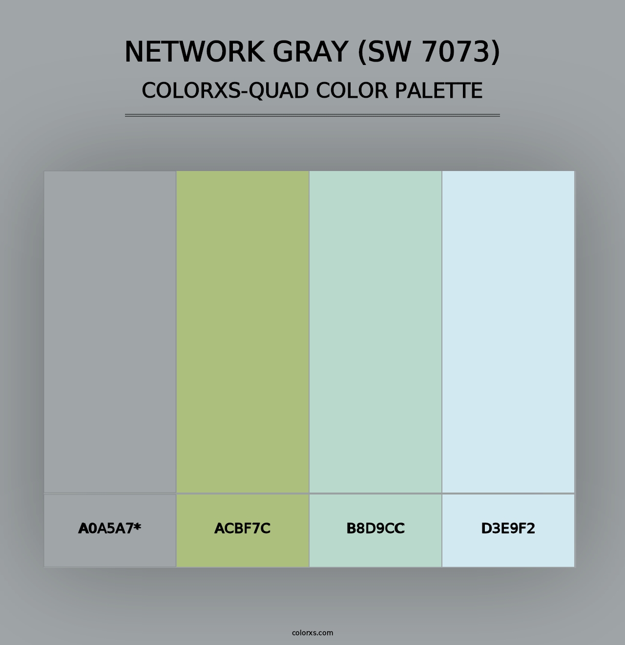 Network Gray (SW 7073) - Colorxs Quad Palette