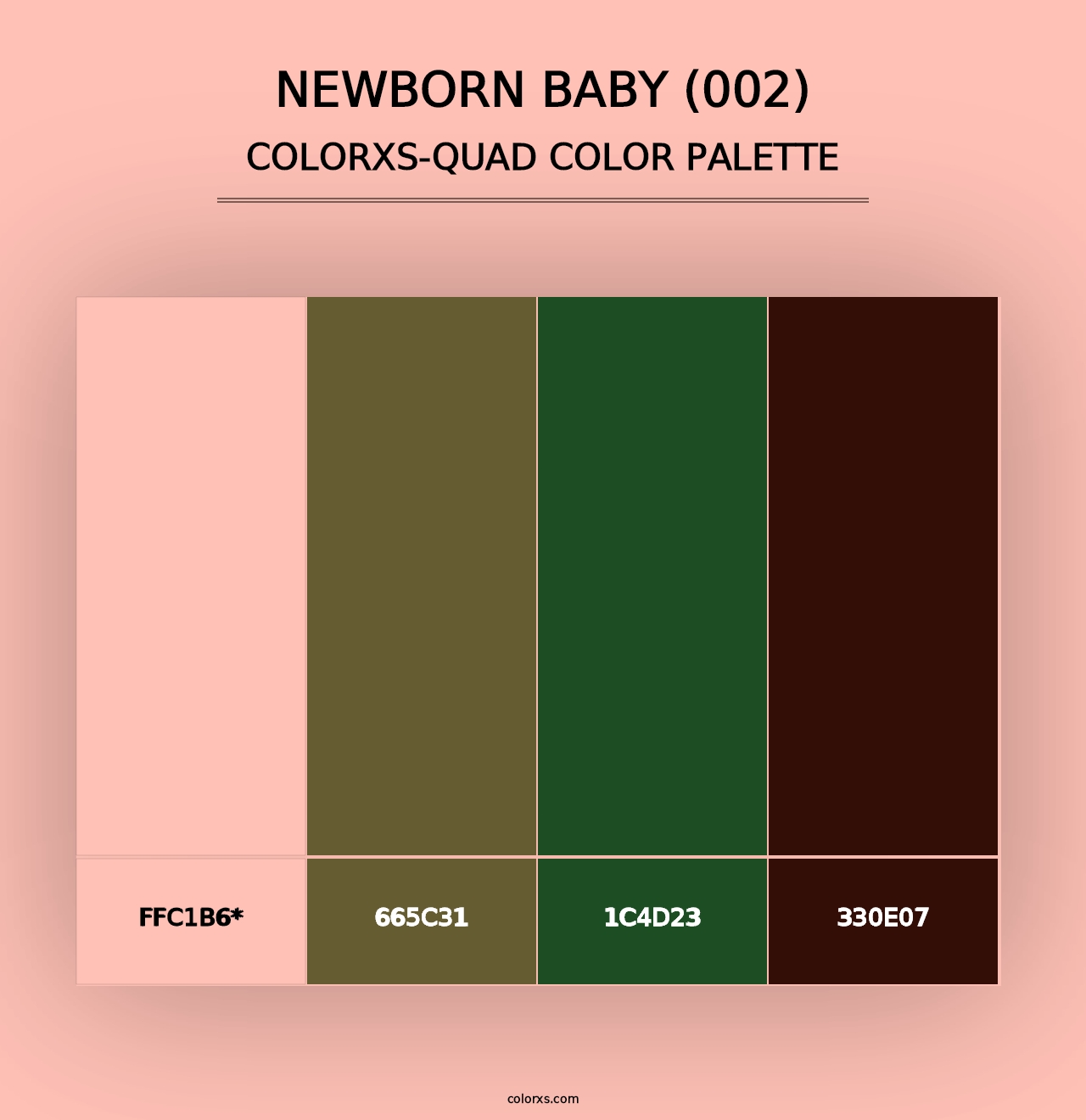 Newborn Baby (002) - Colorxs Quad Palette