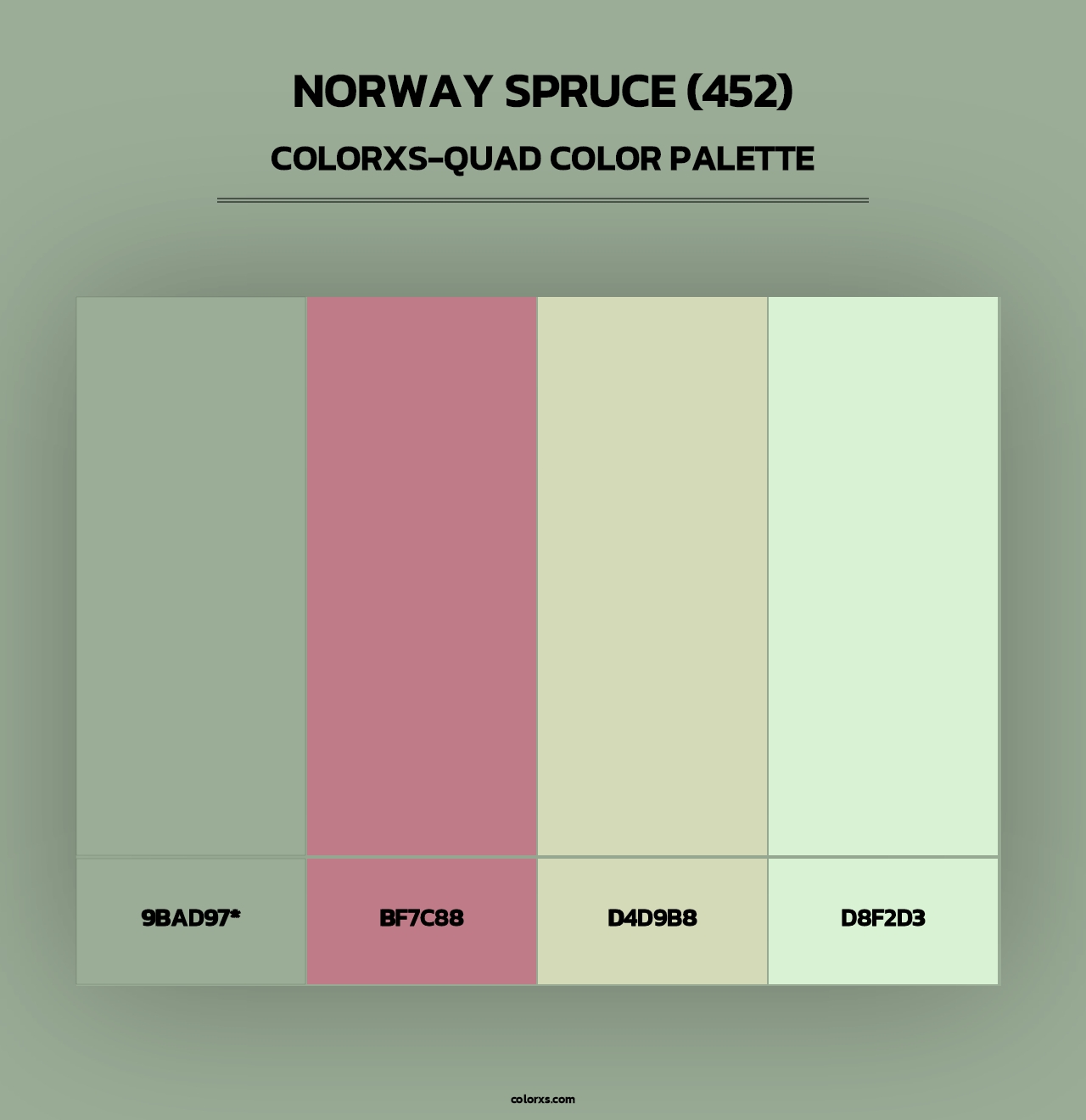 Norway Spruce (452) - Colorxs Quad Palette