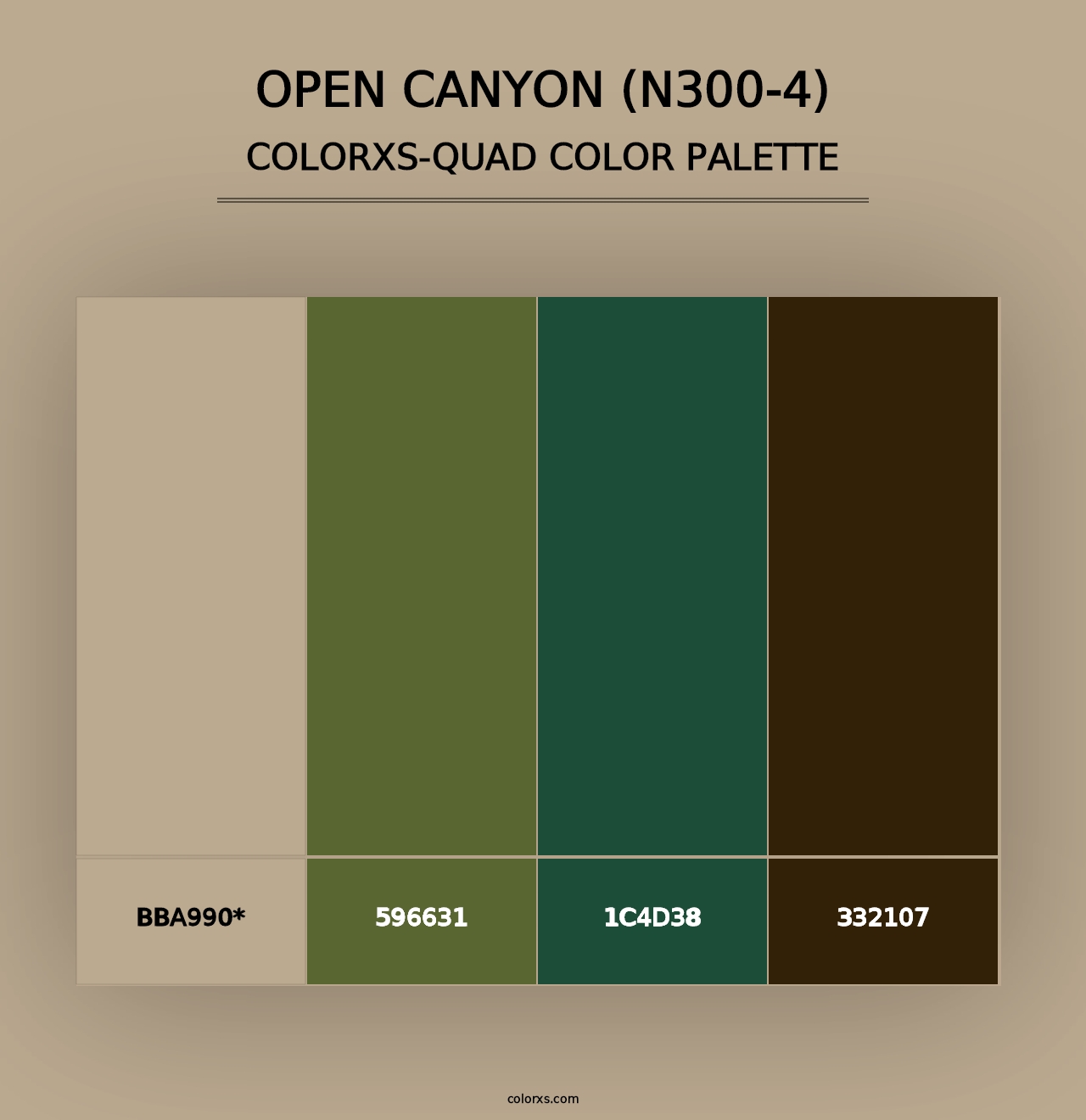 Open Canyon (N300-4) - Colorxs Quad Palette