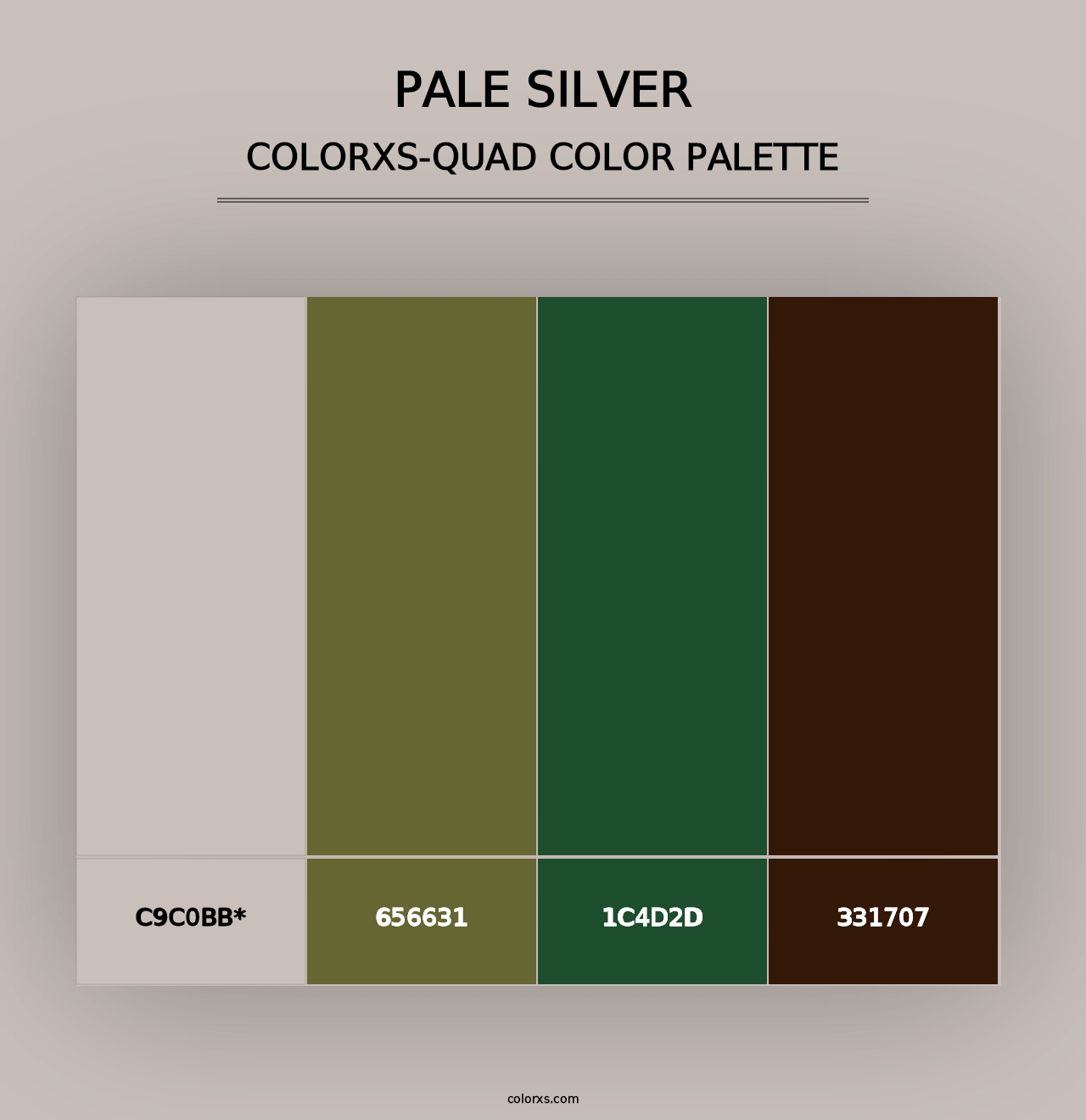 Pale Silver - Colorxs Quad Palette