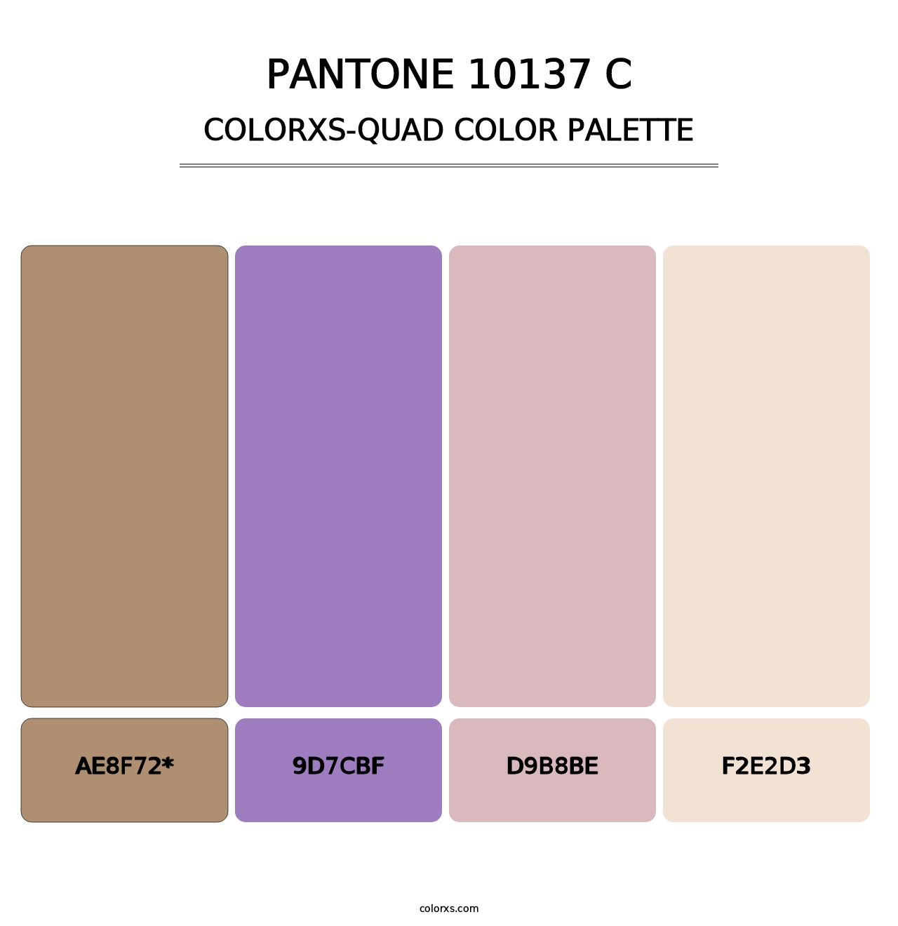 PANTONE 10137 C - Colorxs Quad Palette