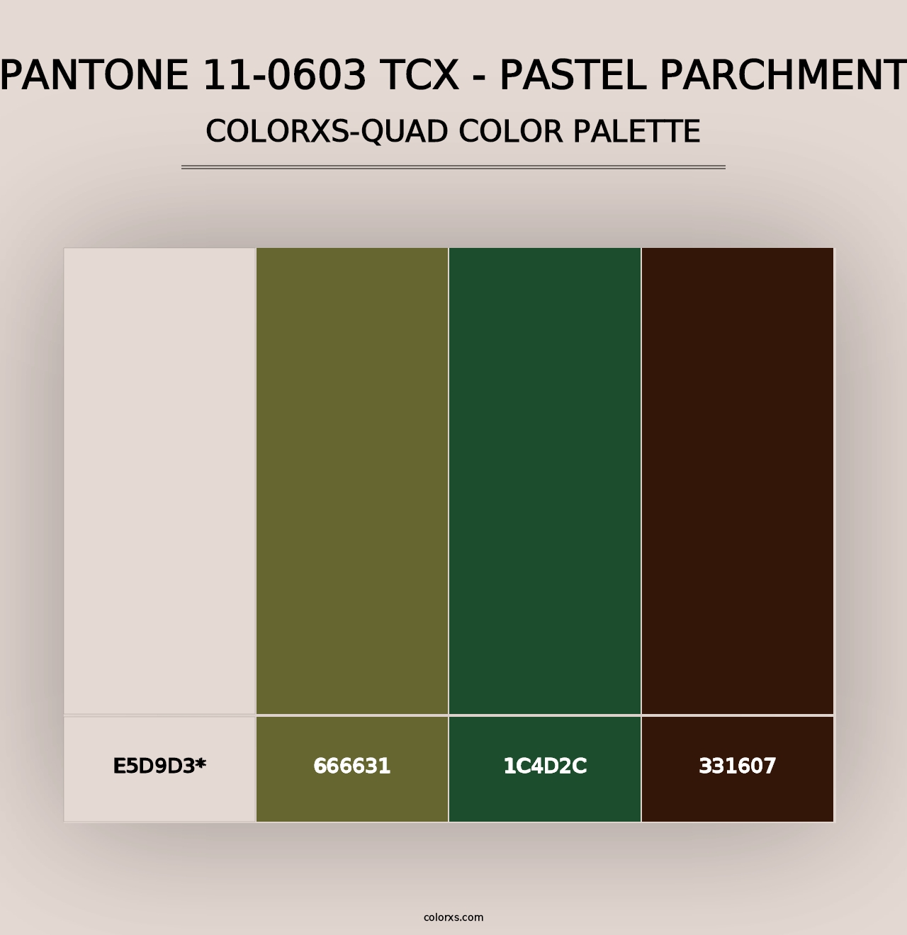 PANTONE 11-0603 TCX - Pastel Parchment - Colorxs Quad Palette