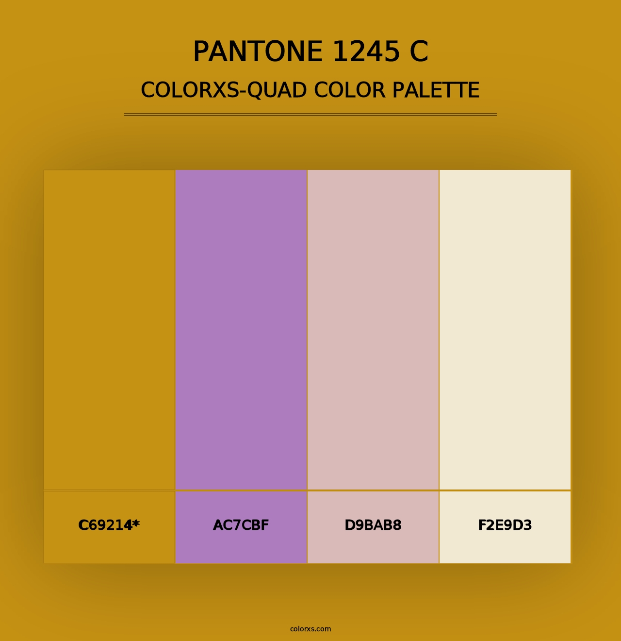 PANTONE 1245 C - Colorxs Quad Palette