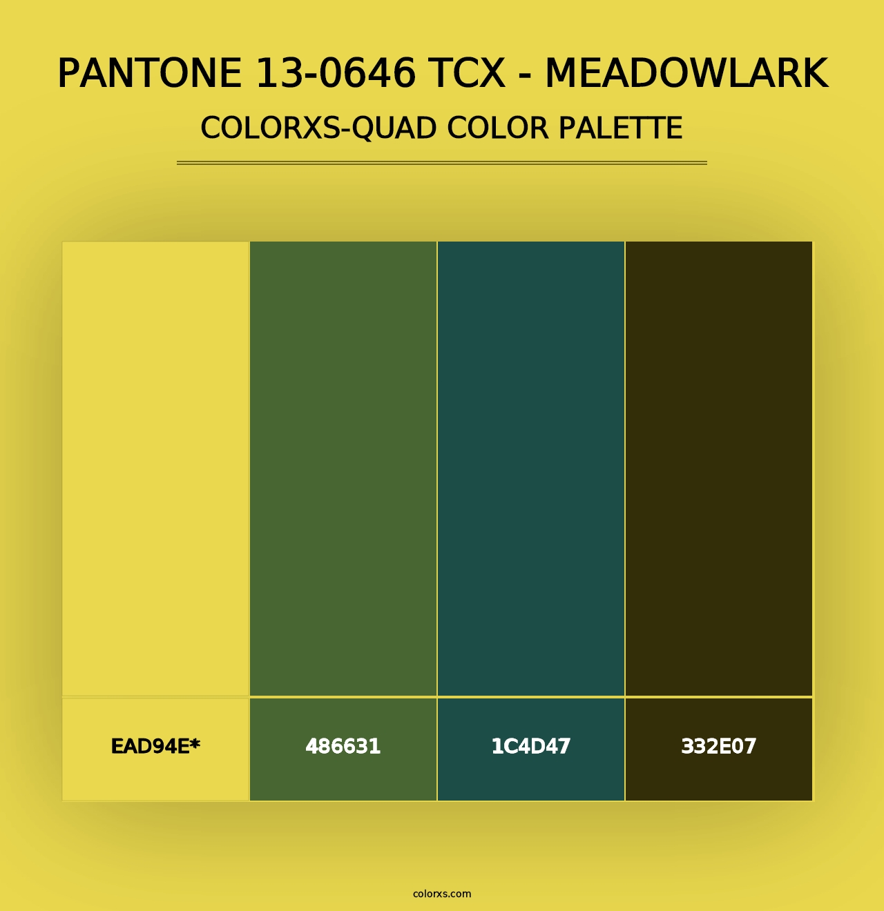 PANTONE 13-0646 TCX - Meadowlark - Colorxs Quad Palette