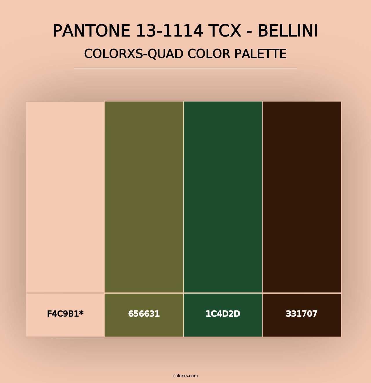 PANTONE 13-1114 TCX - Bellini - Colorxs Quad Palette