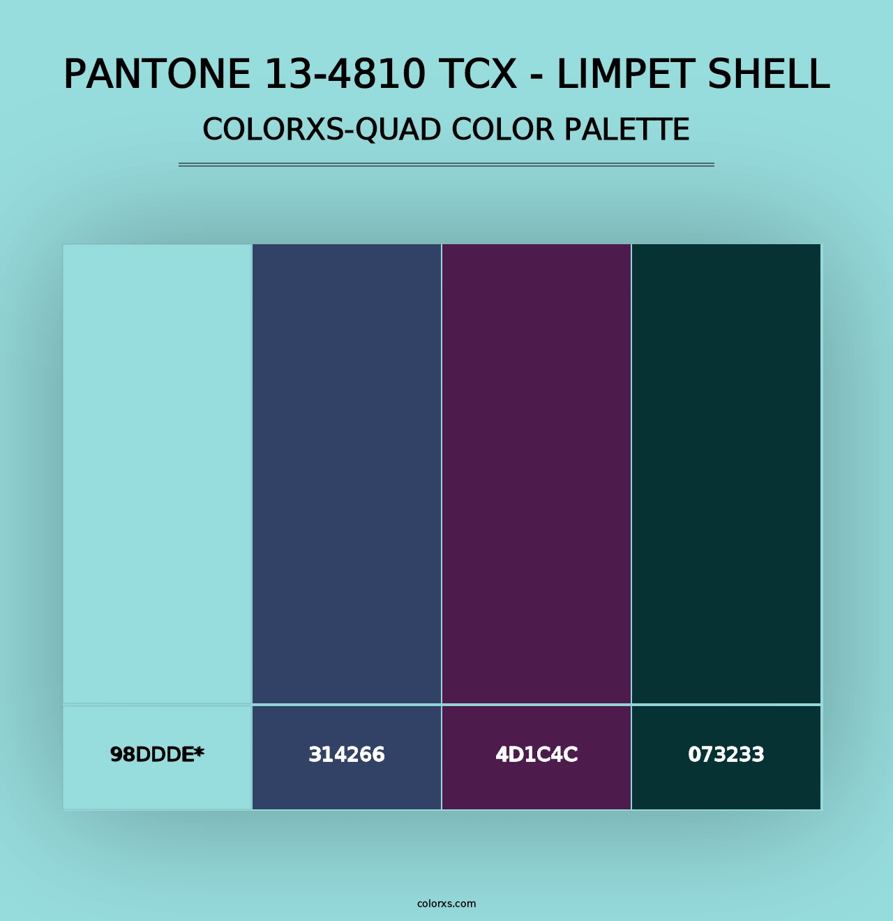 PANTONE 13-4810 TCX - Limpet Shell - Colorxs Quad Palette