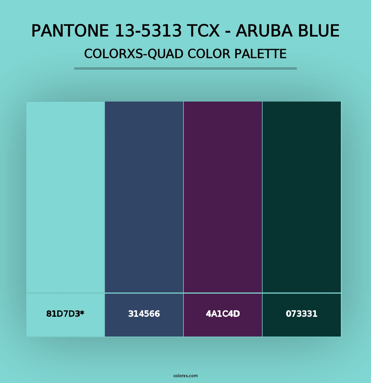 PANTONE 13-5313 TCX - Aruba Blue - Colorxs Quad Palette