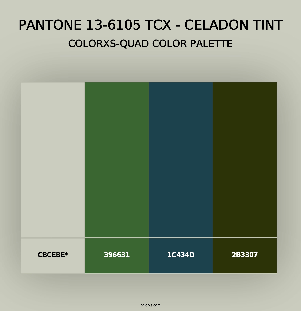 PANTONE 13-6105 TCX - Celadon Tint - Colorxs Quad Palette