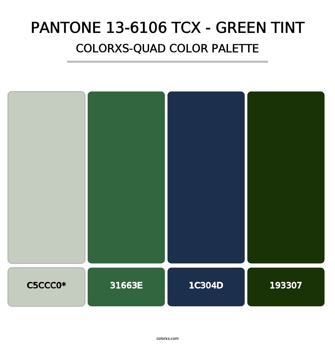 PANTONE 13-6106 TCX - Green Tint - Colorxs Quad Palette