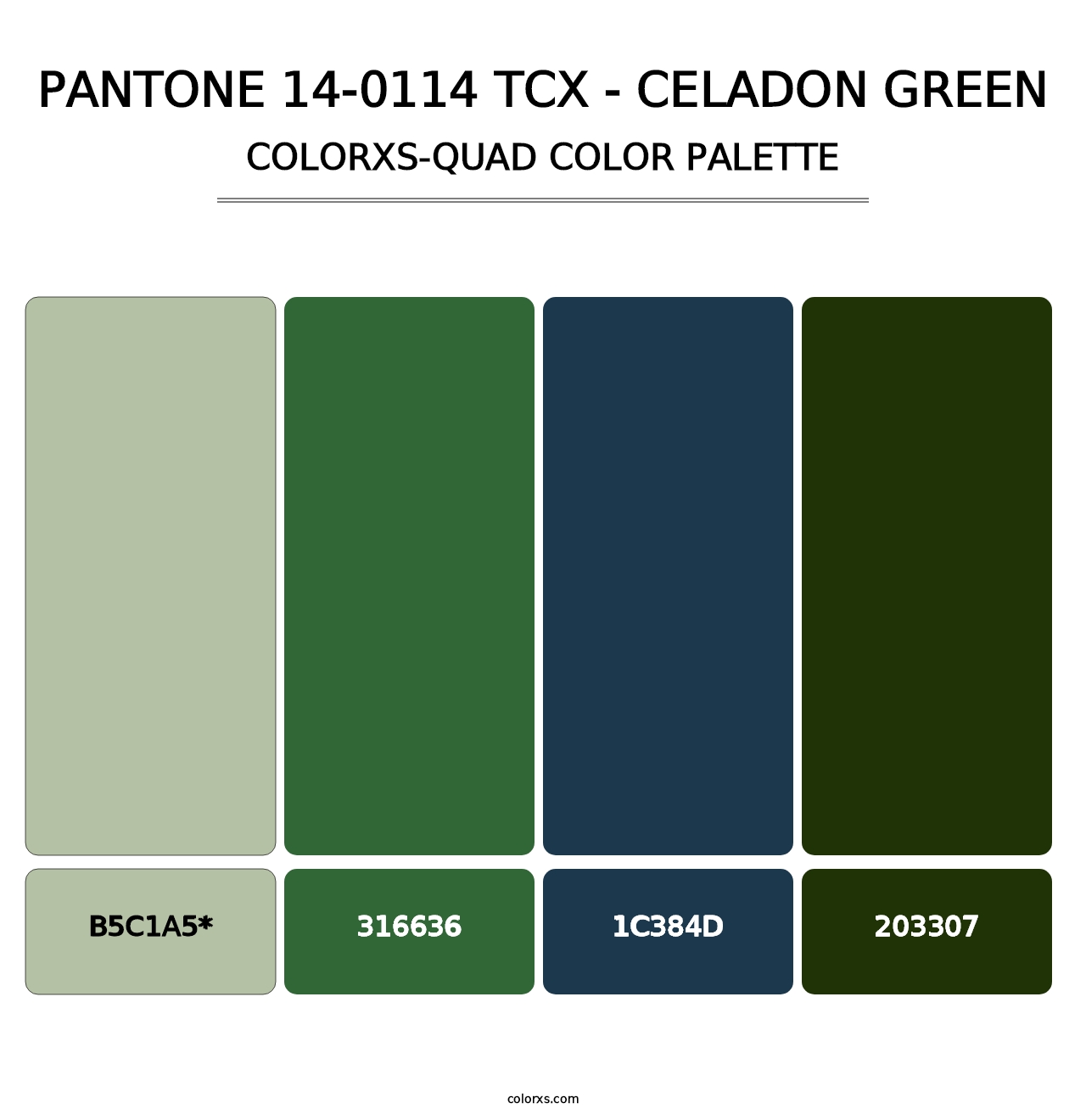 PANTONE 14-0114 TCX - Celadon Green - Colorxs Quad Palette