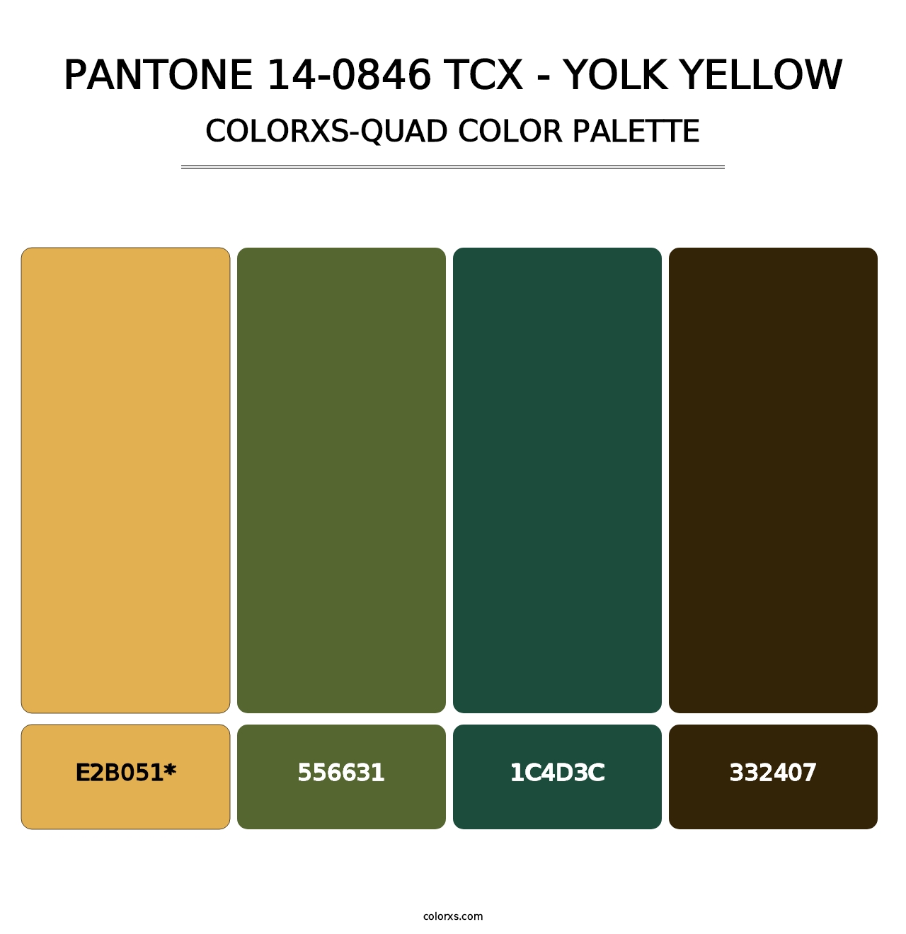 PANTONE 14-0846 TCX - Yolk Yellow - Colorxs Quad Palette