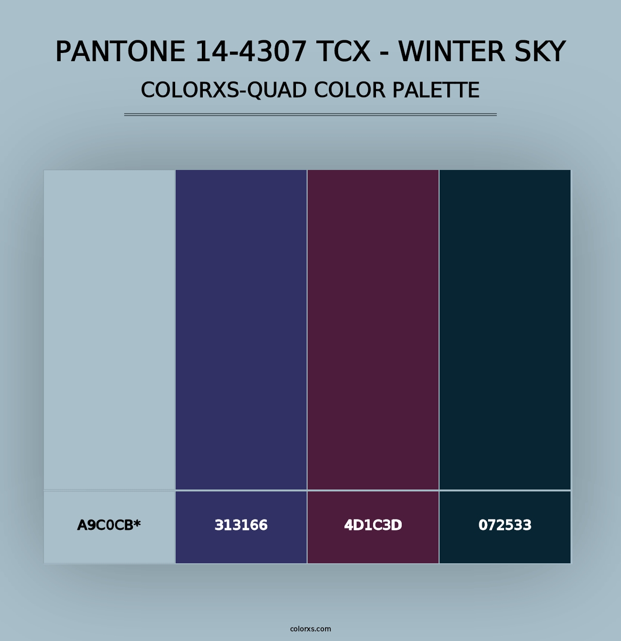 PANTONE 14-4307 TCX - Winter Sky - Colorxs Quad Palette