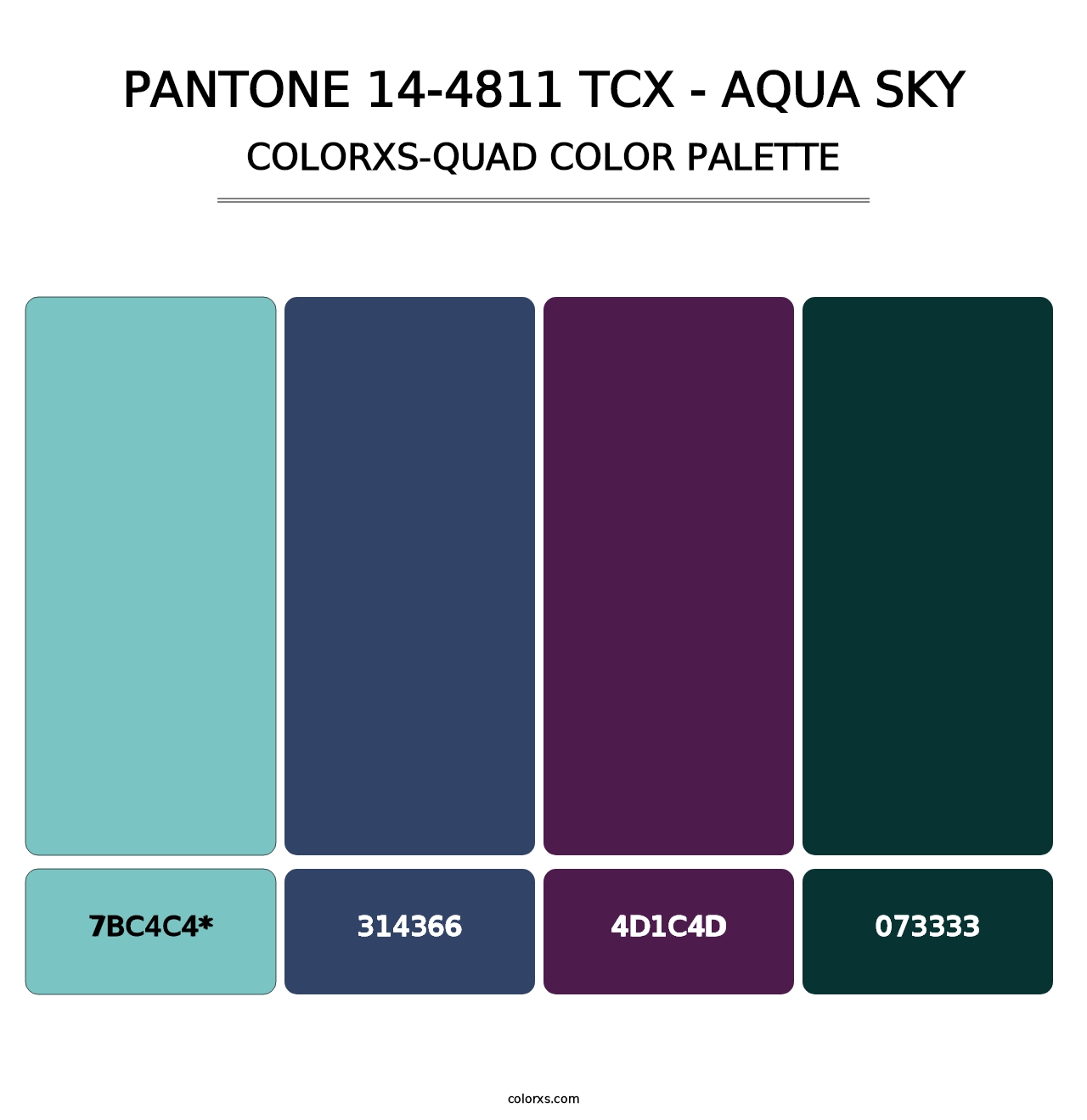 PANTONE 14-4811 TCX - Aqua Sky - Colorxs Quad Palette