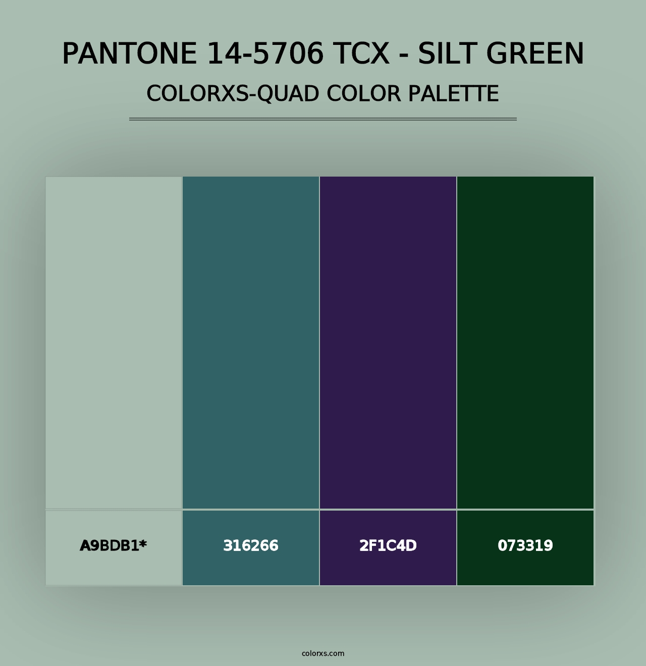 PANTONE 14-5706 TCX - Silt Green - Colorxs Quad Palette