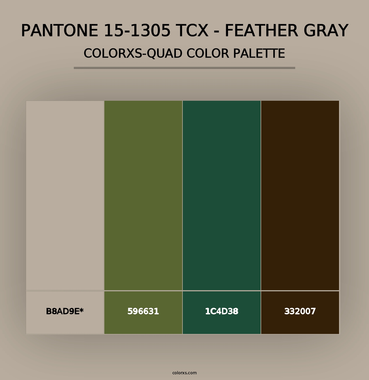 PANTONE 15-1305 TCX - Feather Gray - Colorxs Quad Palette