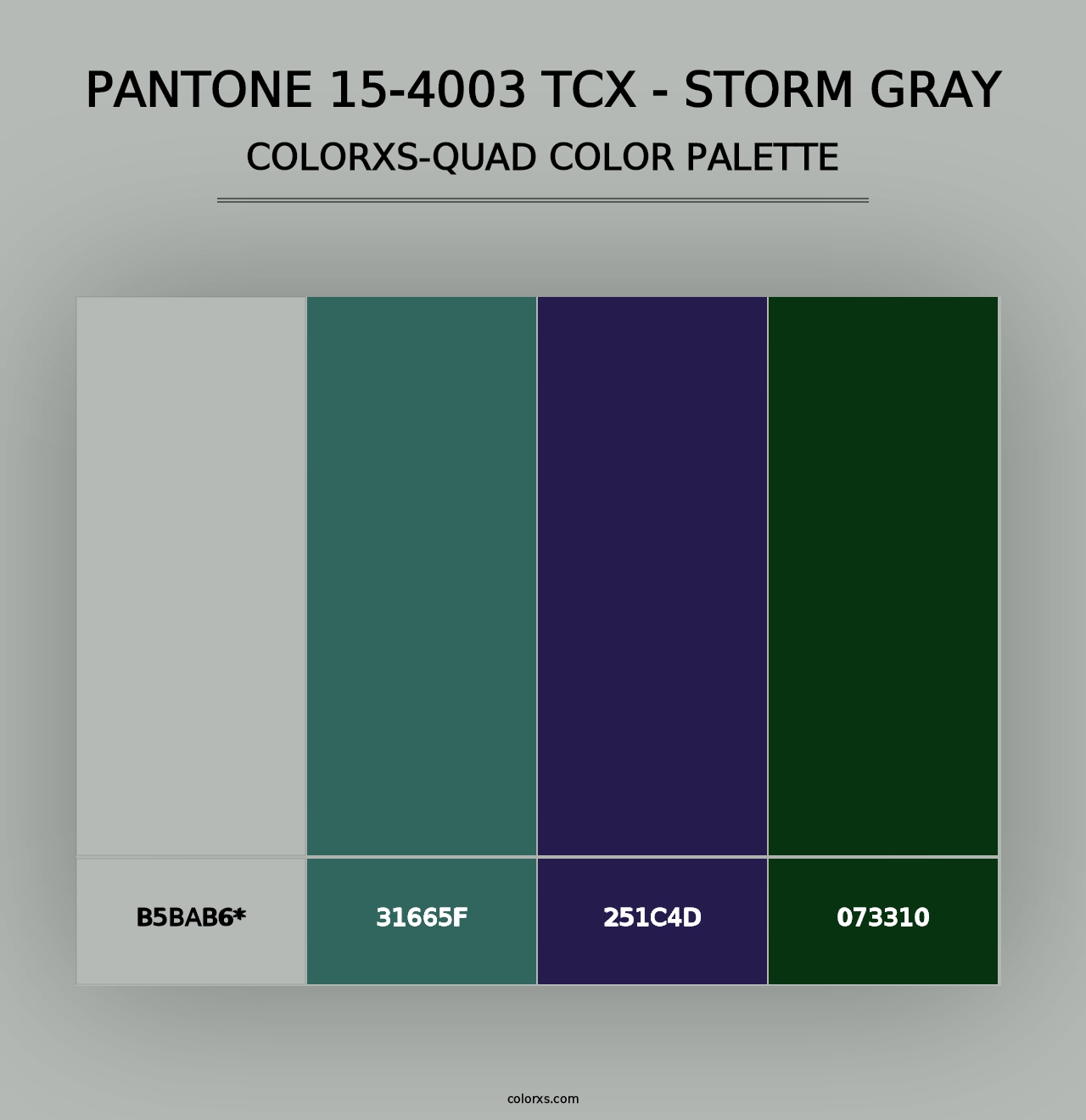 PANTONE 15-4003 TCX - Storm Gray - Colorxs Quad Palette