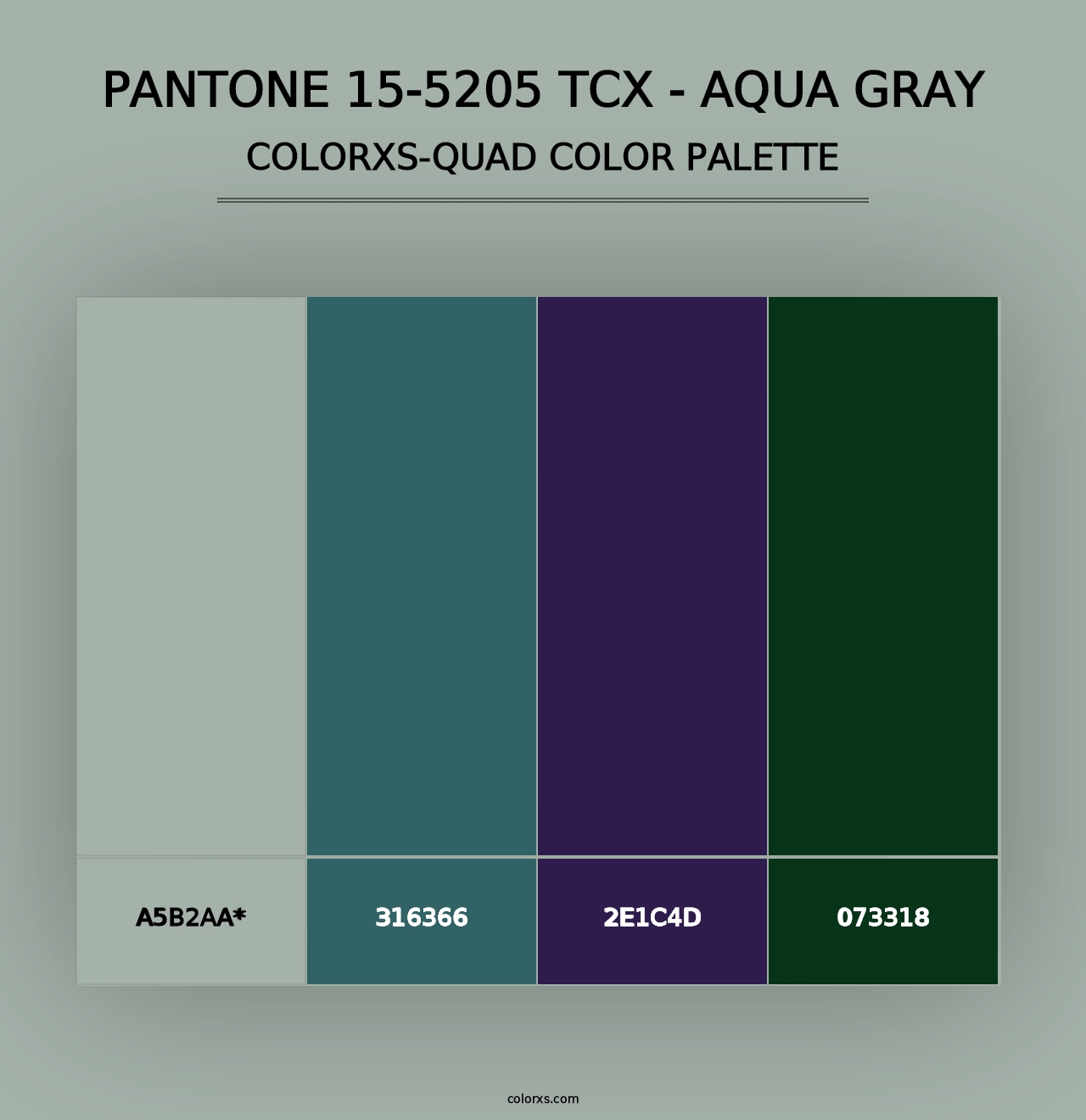 PANTONE 15-5205 TCX - Aqua Gray - Colorxs Quad Palette