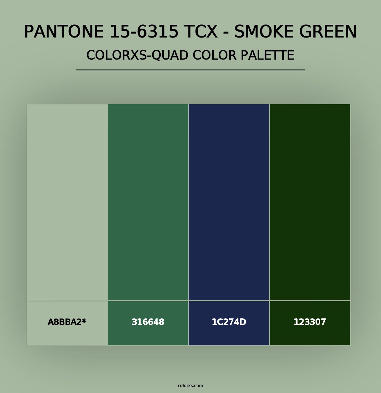 PANTONE 15-6315 TCX - Smoke Green - Colorxs Quad Palette