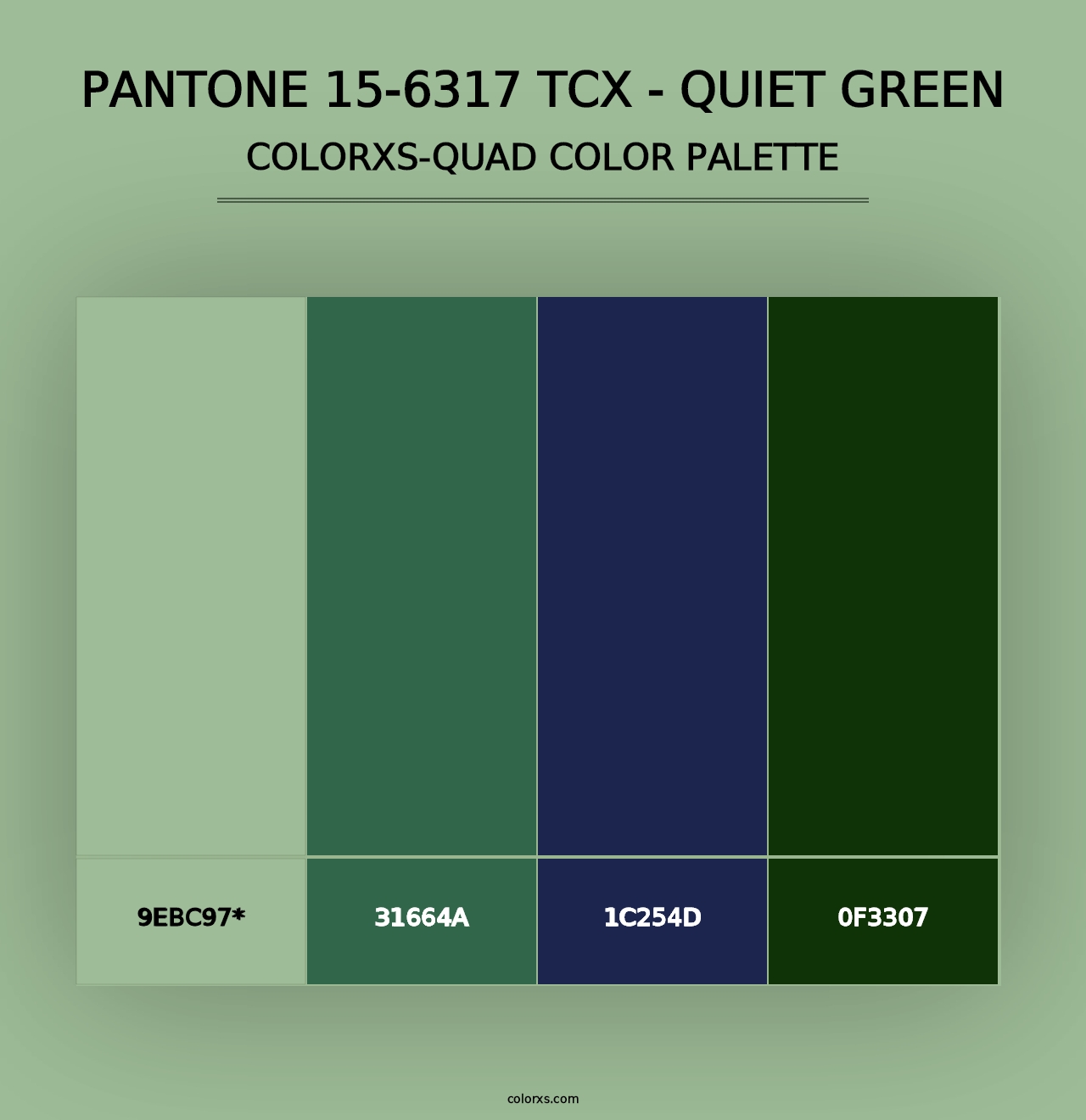 PANTONE 15-6317 TCX - Quiet Green - Colorxs Quad Palette