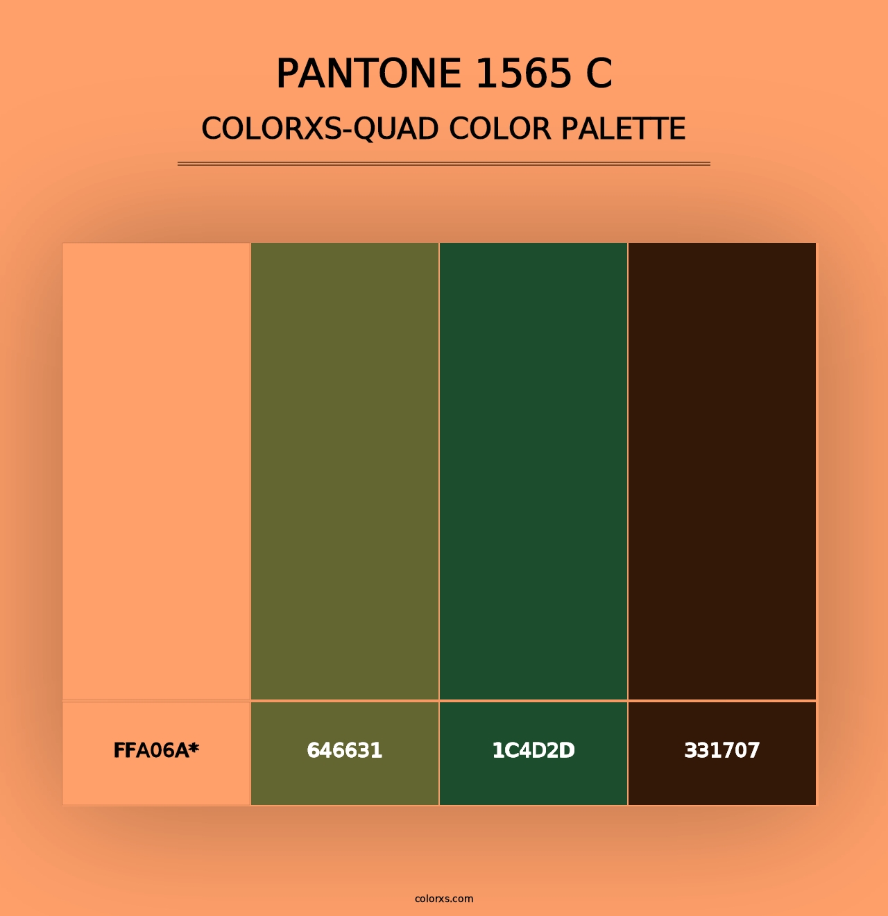 PANTONE 1565 C - Colorxs Quad Palette