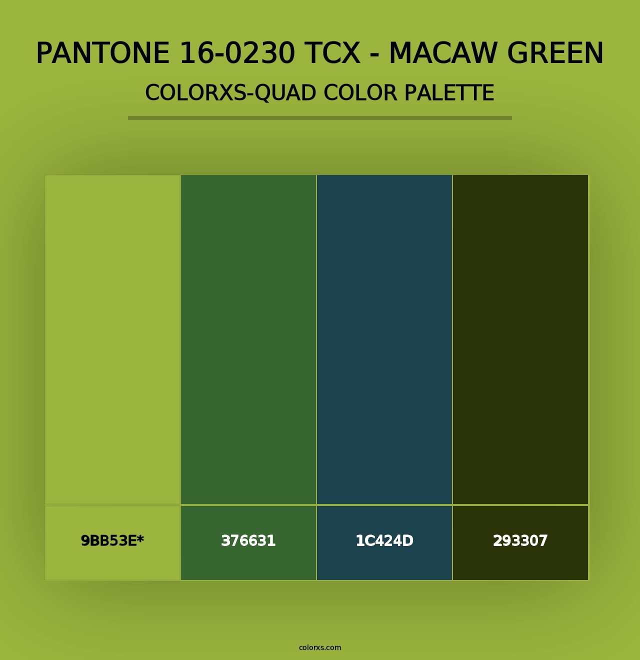 PANTONE 16-0230 TCX - Macaw Green - Colorxs Quad Palette