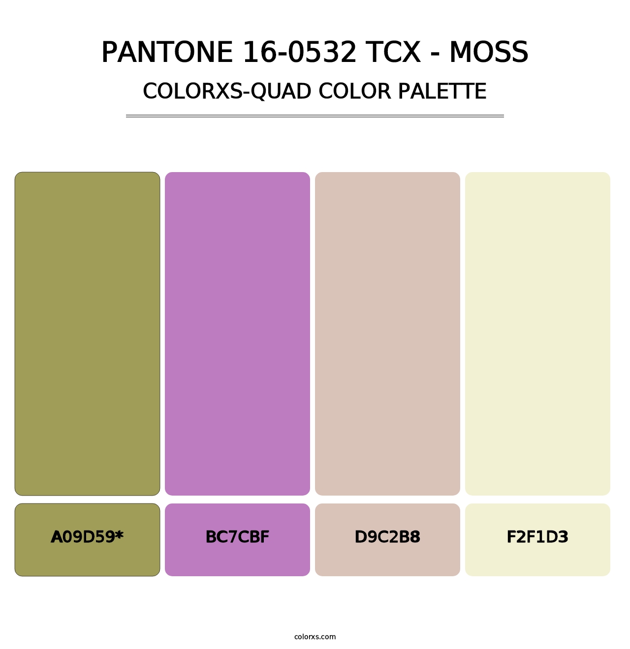 PANTONE 16-0532 TCX - Moss - Colorxs Quad Palette