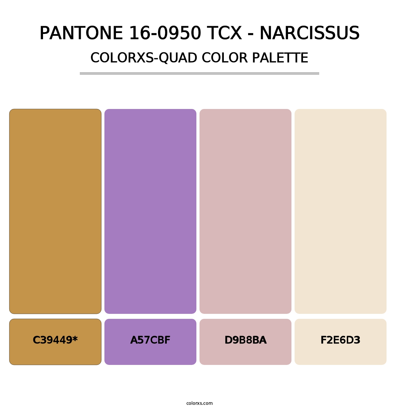 PANTONE 16-0950 TCX - Narcissus - Colorxs Quad Palette