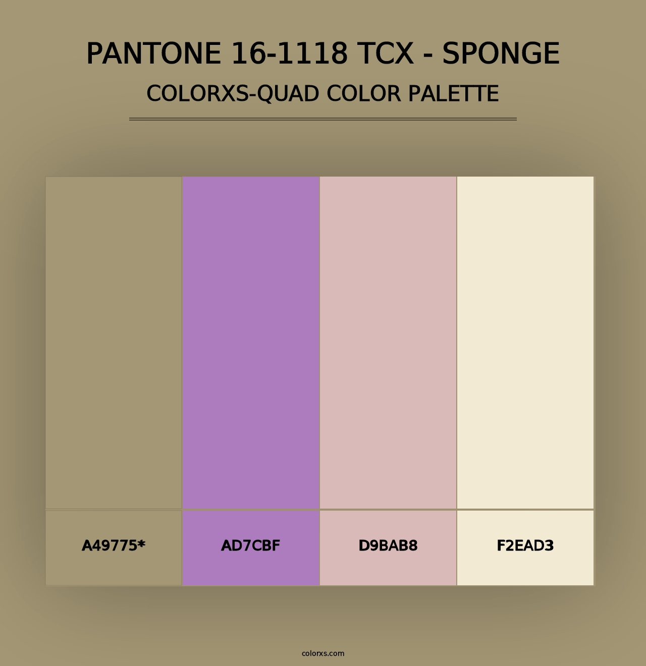 PANTONE 16-1118 TCX - Sponge - Colorxs Quad Palette