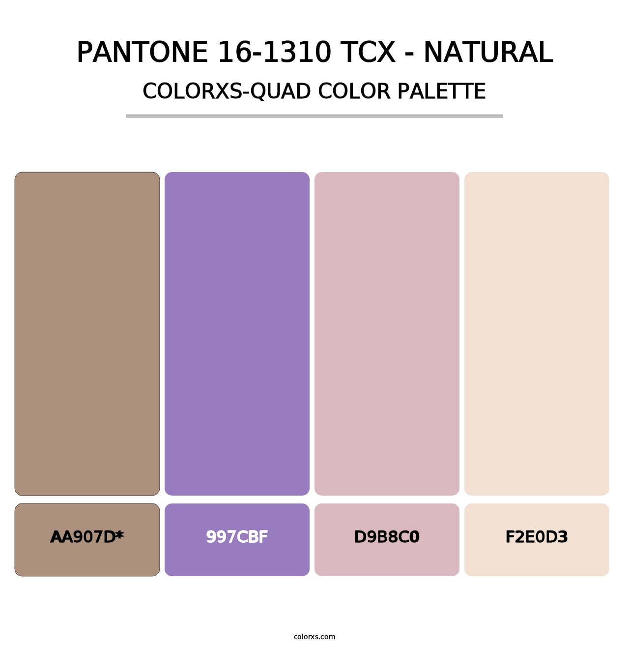 PANTONE 16-1310 TCX - Natural - Colorxs Quad Palette