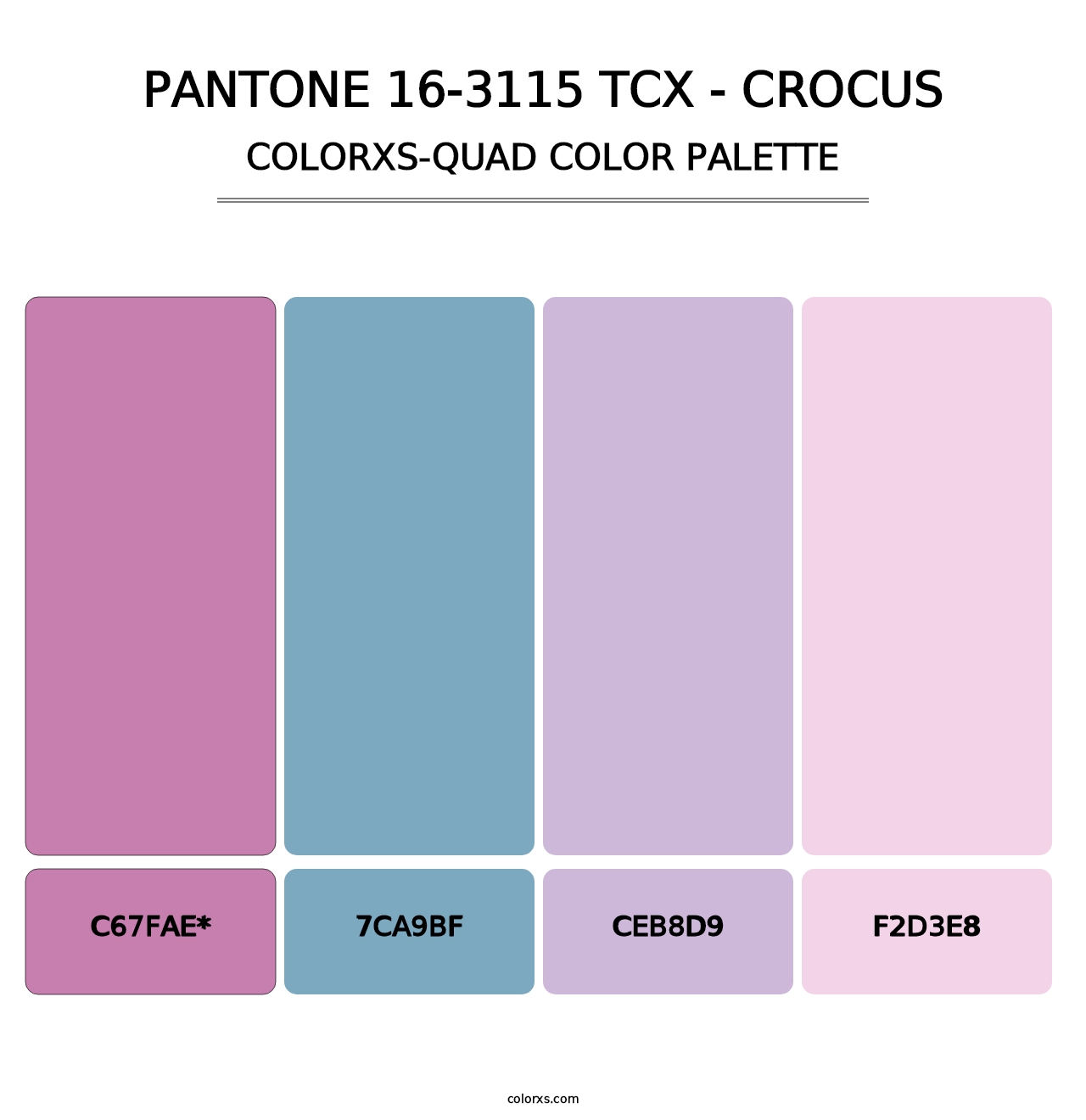 PANTONE 16-3115 TCX - Crocus - Colorxs Quad Palette