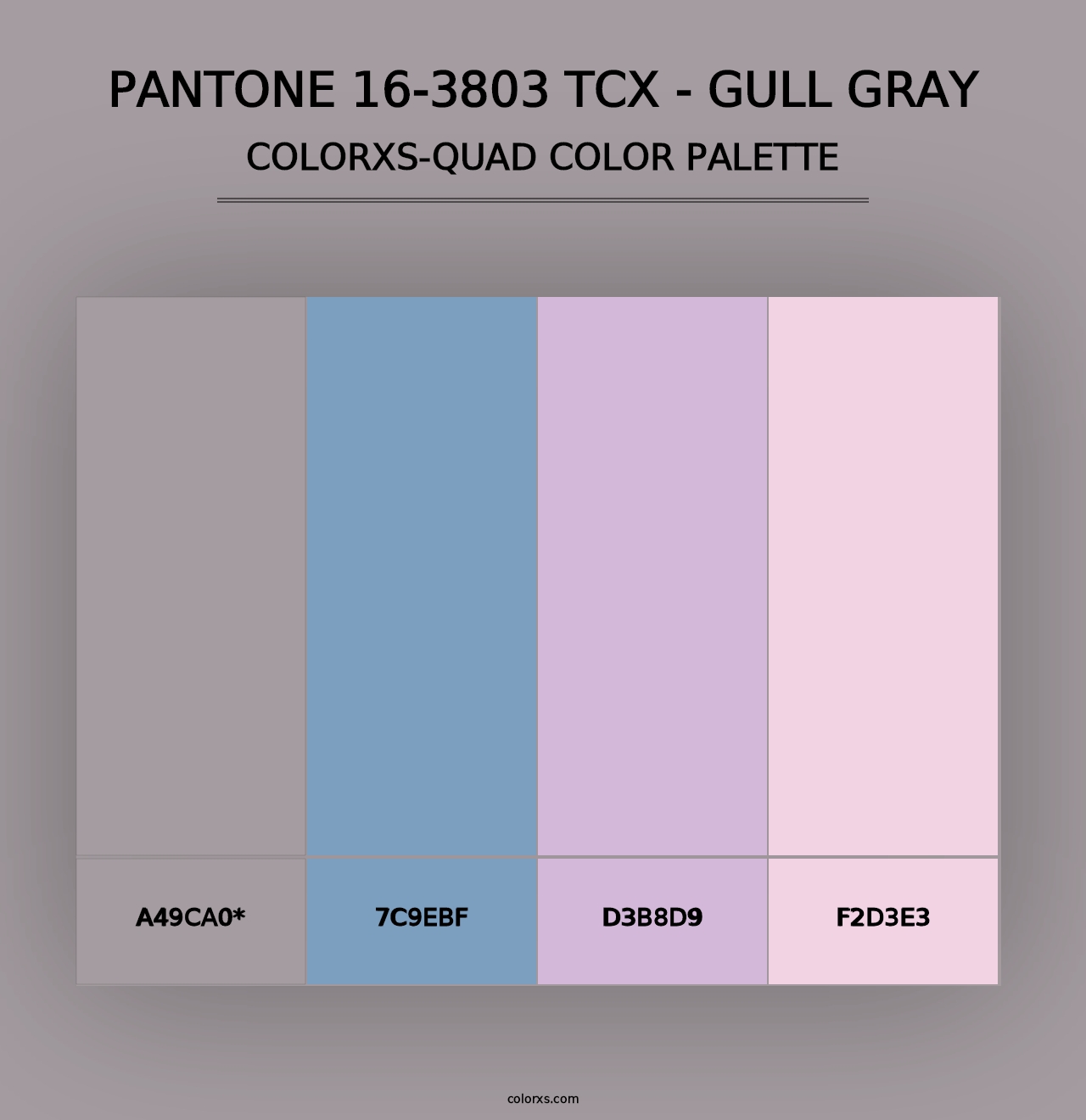 PANTONE 16-3803 TCX - Gull Gray - Colorxs Quad Palette