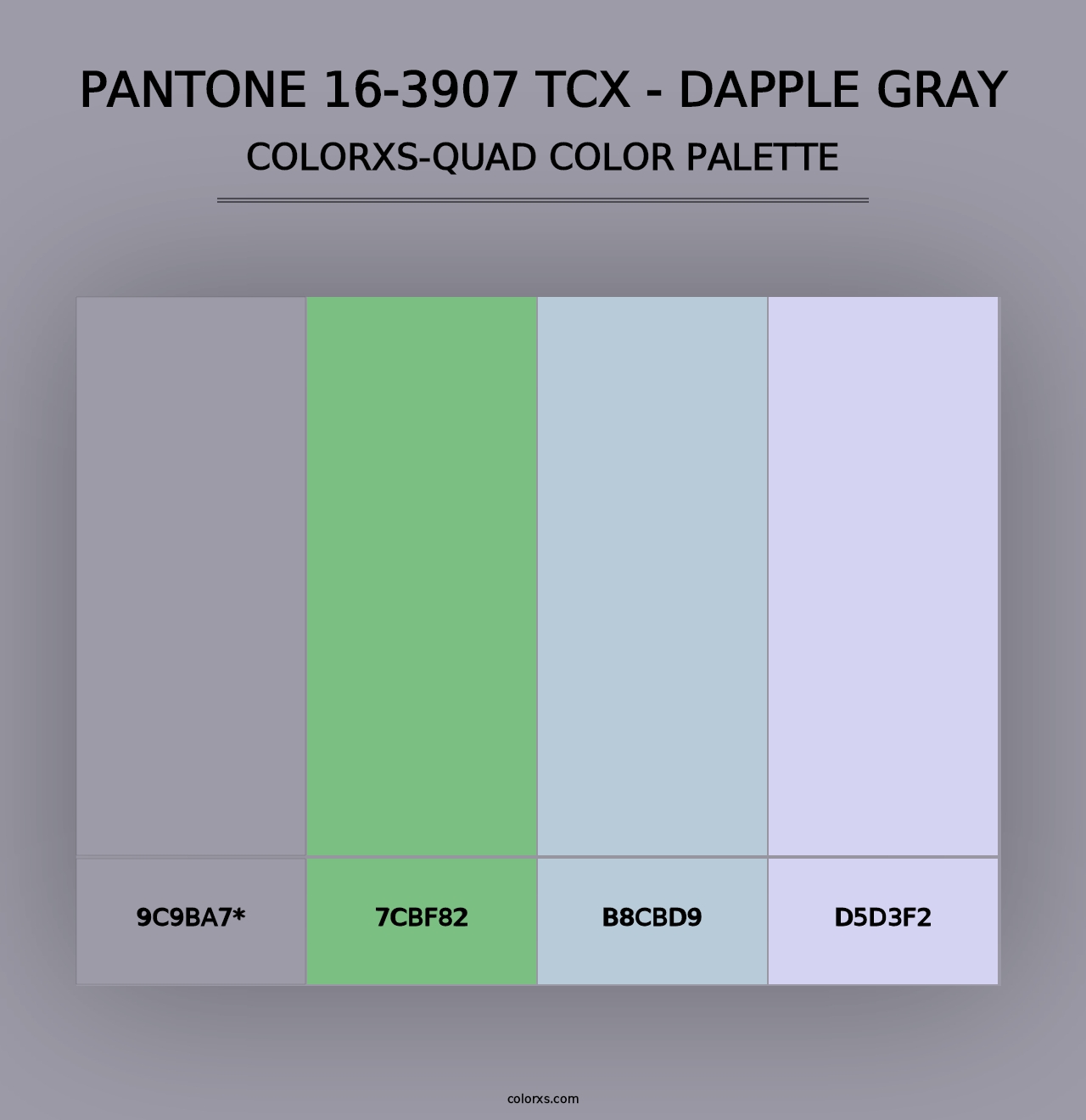 PANTONE 16-3907 TCX - Dapple Gray - Colorxs Quad Palette